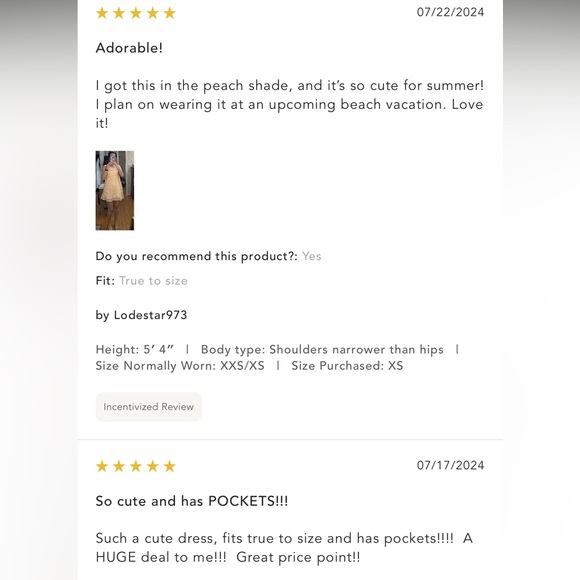 Anthropologie NWT Sz SM 3D floral appliqué dress; side zipper & pockets, lined - Picture 9 of 16